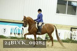 24BUCK_09284 thumbnail