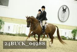 24BUCK_09288 thumbnail