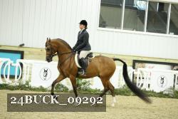 24BUCK_09292 thumbnail