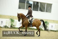24BUCK_09293 thumbnail