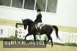 24BUCK_09294 thumbnail