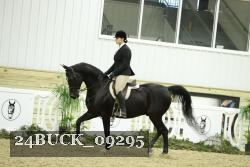 24BUCK_09295 thumbnail