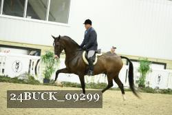 24BUCK_09299 thumbnail