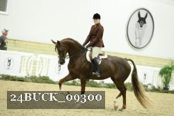 24BUCK_09300 thumbnail