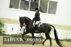 24BUCK_09303 thumbnail