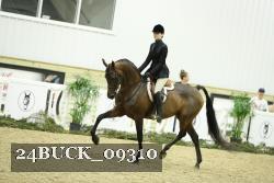 24BUCK_09310 thumbnail