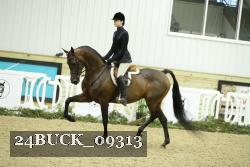 24BUCK_09313 thumbnail
