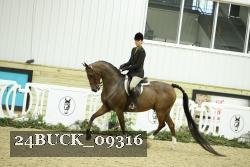 24BUCK_09316 thumbnail