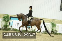 24BUCK_09317 thumbnail