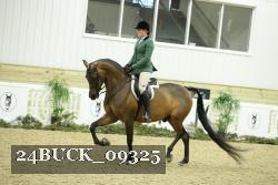 24BUCK_09325 thumbnail