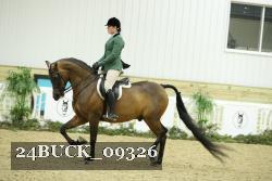 24BUCK_09326 thumbnail