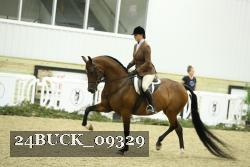 24BUCK_09329 thumbnail