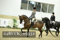 24BUCK_09332 thumbnail