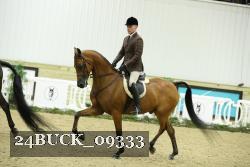 24BUCK_09333 thumbnail
