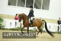 24BUCK_09337 thumbnail