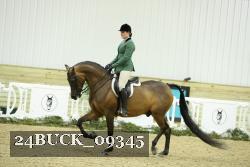 24BUCK_09345 thumbnail