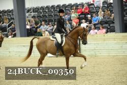 24BUCK_09350 thumbnail