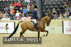 24BUCK_09351 thumbnail