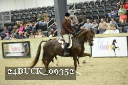 24BUCK_09352 thumbnail