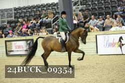 24BUCK_09354 thumbnail