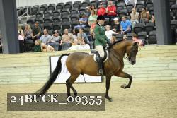24BUCK_09355 thumbnail