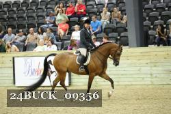 24BUCK_09356 thumbnail
