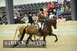 24BUCK_09358 thumbnail