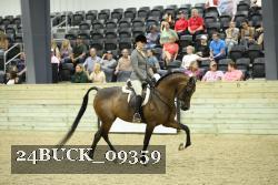24BUCK_09359 thumbnail
