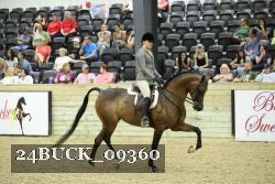 24BUCK_09360 thumbnail