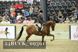24BUCK_09361 thumbnail