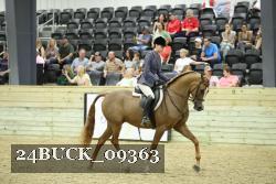 24BUCK_09363 thumbnail