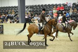24BUCK_09364 thumbnail