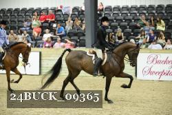 24BUCK_09365 thumbnail