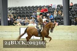 24BUCK_09366 thumbnail