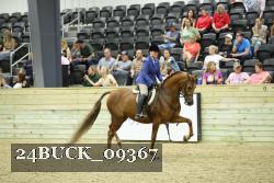 24BUCK_09367 thumbnail