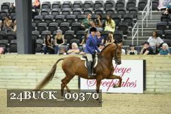 24BUCK_09370 thumbnail