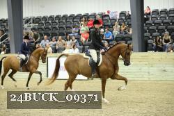 24BUCK_09371 thumbnail