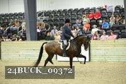 24BUCK_09372 thumbnail