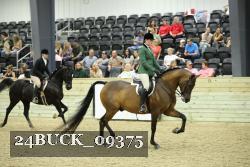 24BUCK_09375 thumbnail