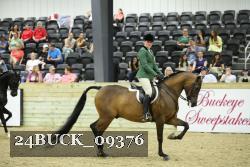 24BUCK_09376 thumbnail