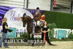24BUCK_09382 thumbnail