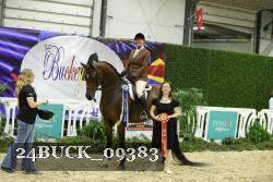 24BUCK_09383 thumbnail