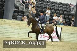 24BUCK_09393 thumbnail