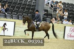 24BUCK_09394 thumbnail