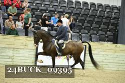 24BUCK_09395 thumbnail