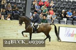 24BUCK_09396 thumbnail