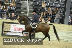 24BUCK_09397 thumbnail