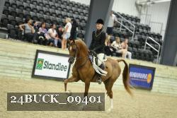 24BUCK_09401 thumbnail