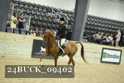 24BUCK_09402 thumbnail