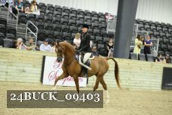 24BUCK_09403 thumbnail